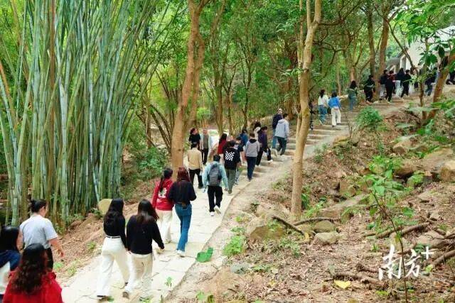 一专线来五桂山解锁“绿野仙踪”不朽情缘游戏网站登录一山一道(图5)