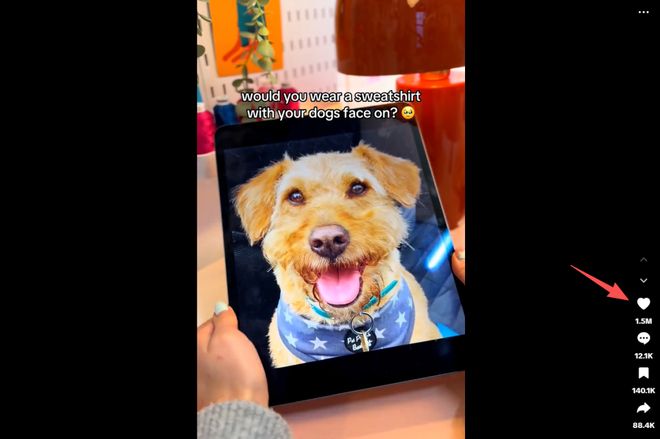 小众好物”在TikTok的崛起之路不朽情缘游戏网站址15亿播放！“(图11)