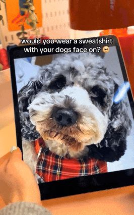 小众好物”在TikTok的崛起之路不朽情缘游戏网站址15亿播放！“(图13)