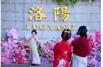 届中国洛阳牡丹文化节文明实践工作综述不朽